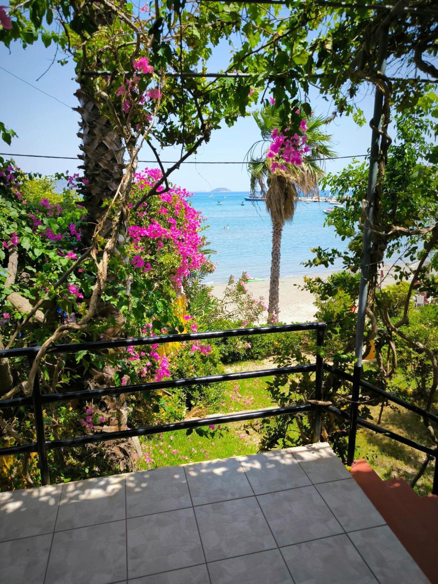Aggelika Apartments Lithakia  Bagian luar foto